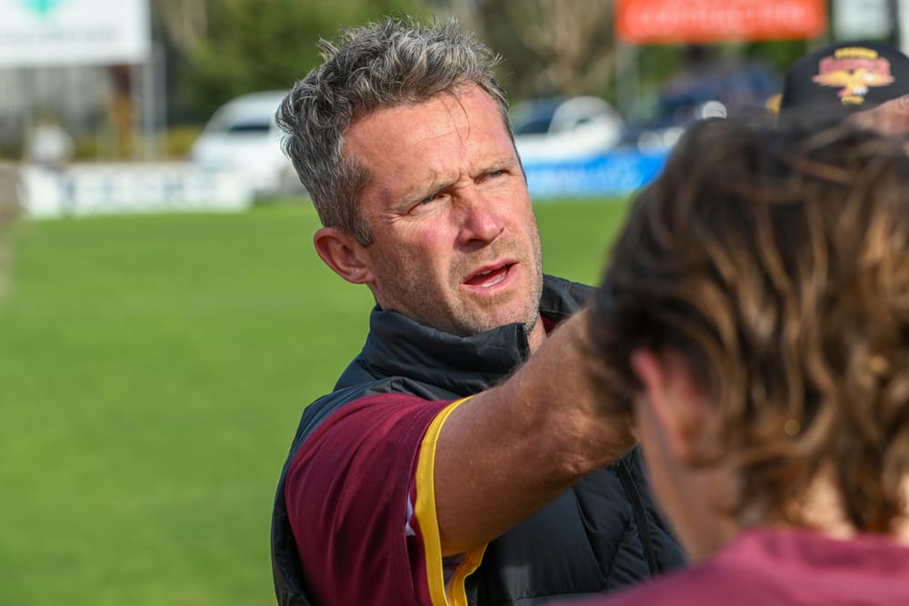 Hawks fight hard post image