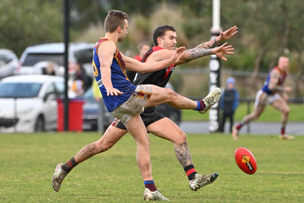 Lions use class to slip past Gulls in Gippsland League post image