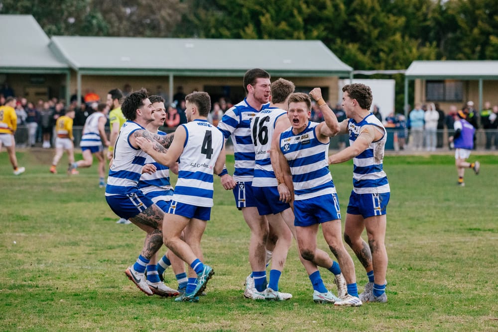 Cats comeback post image