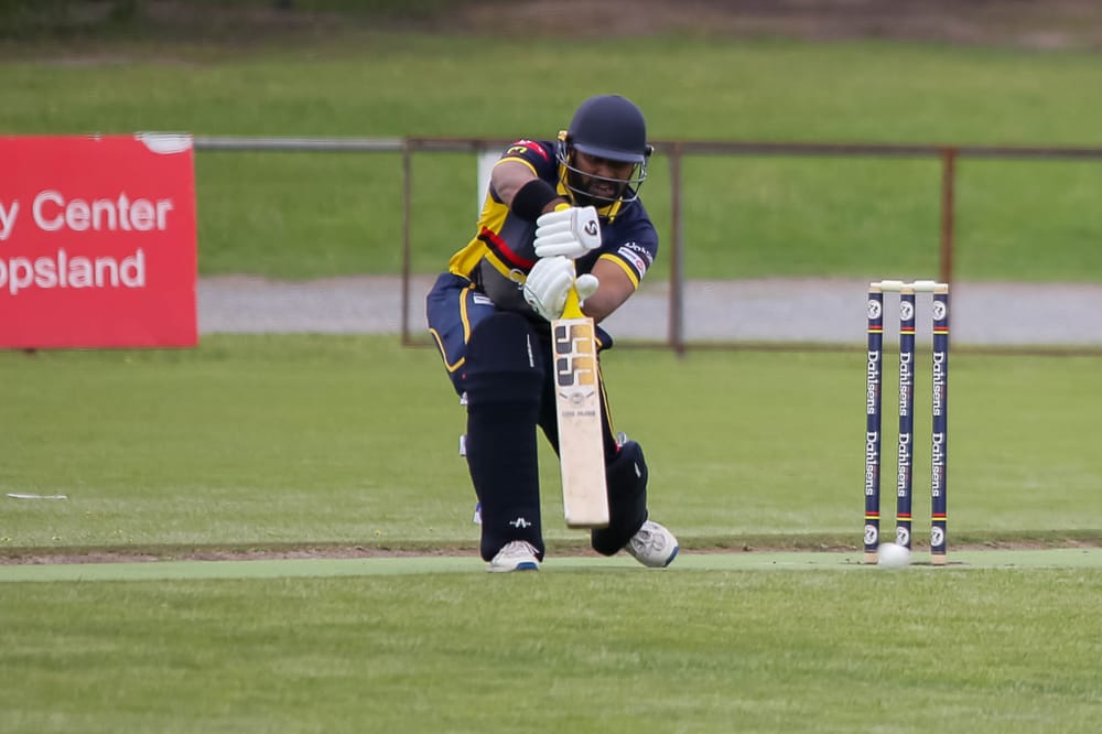 Cats keep rolling in division one post image