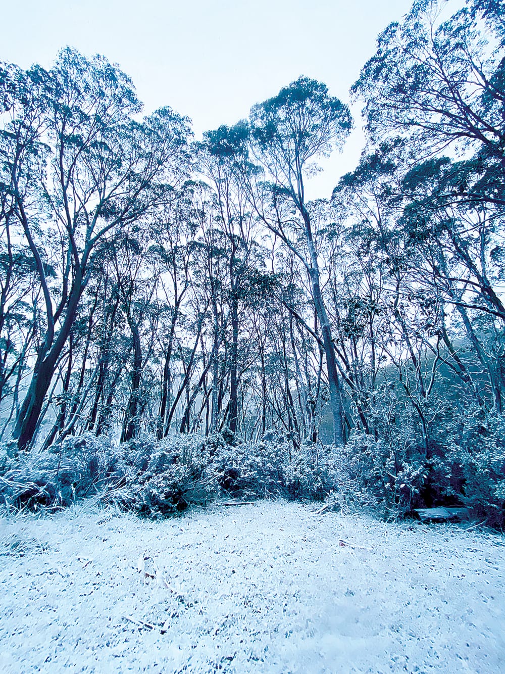 Snowfall for season opening post image