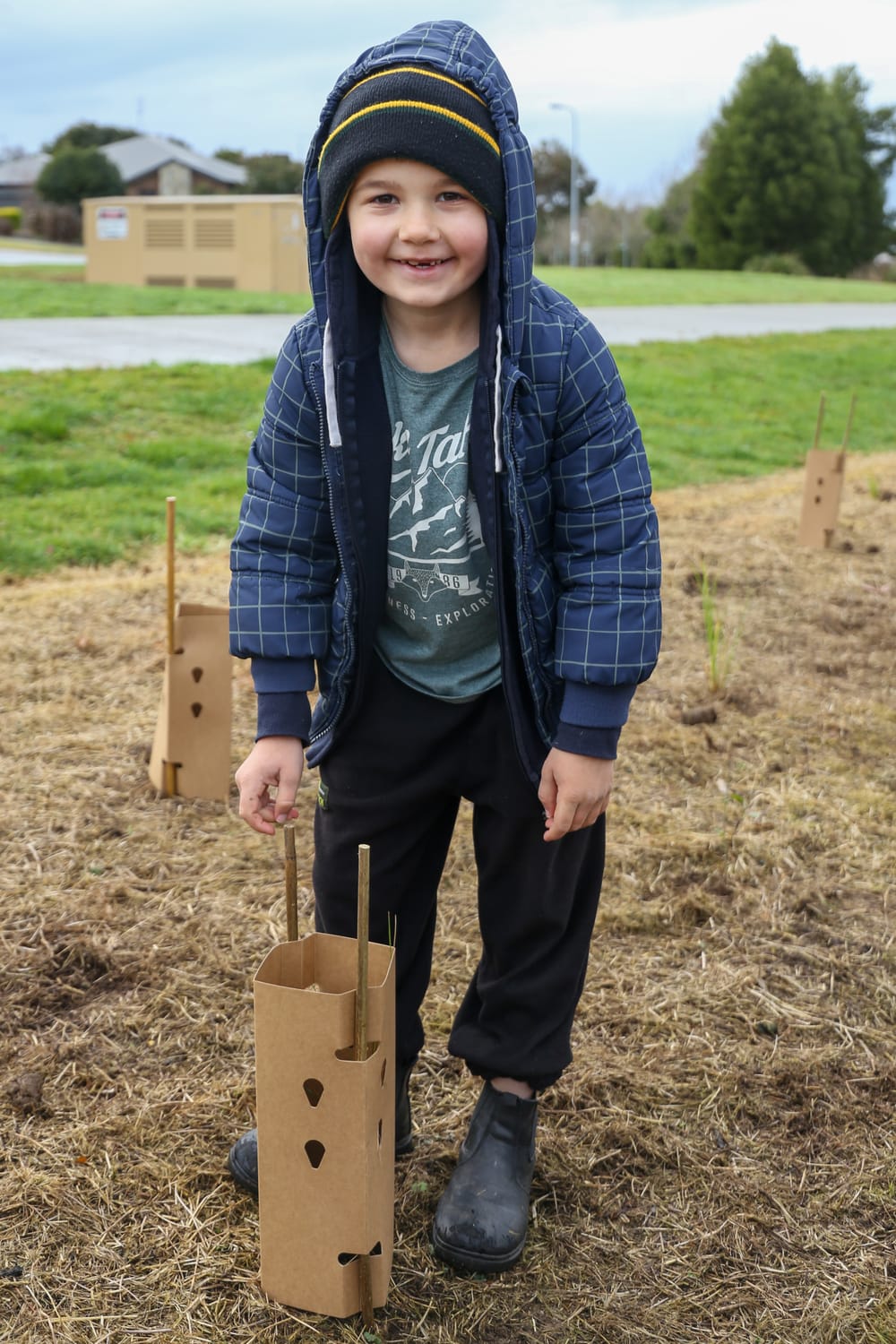 National Tree Day - July 27, 2025 post image