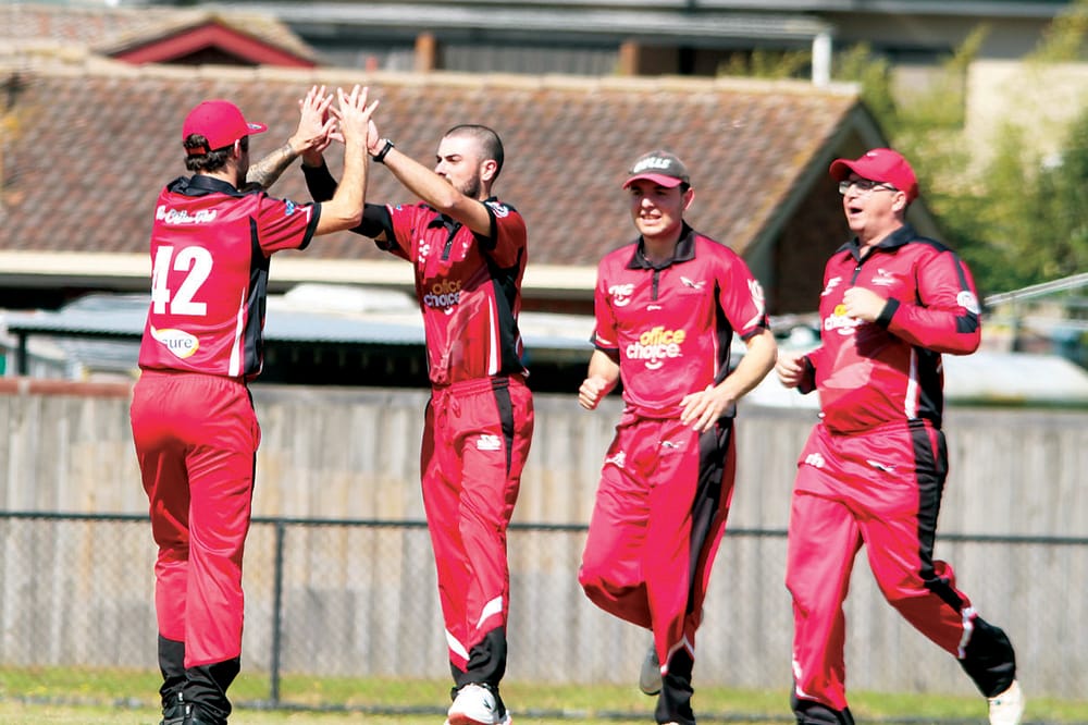 All eyes on cricket post image