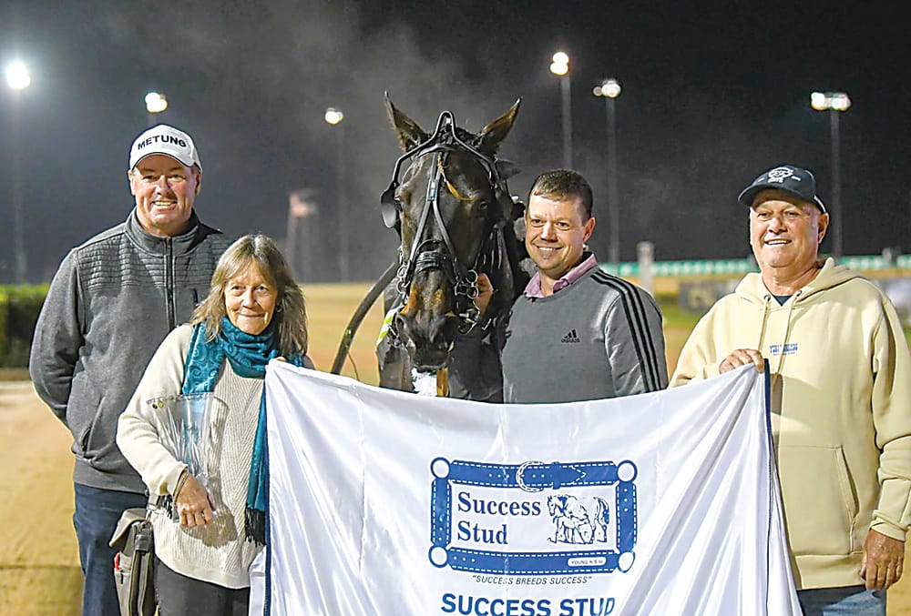 Another gem from Traf trotter post image