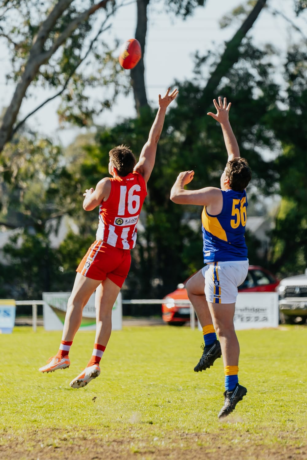 EDFNL Reserves Trafalgar v Ellinbank - May 10, 2025 post image