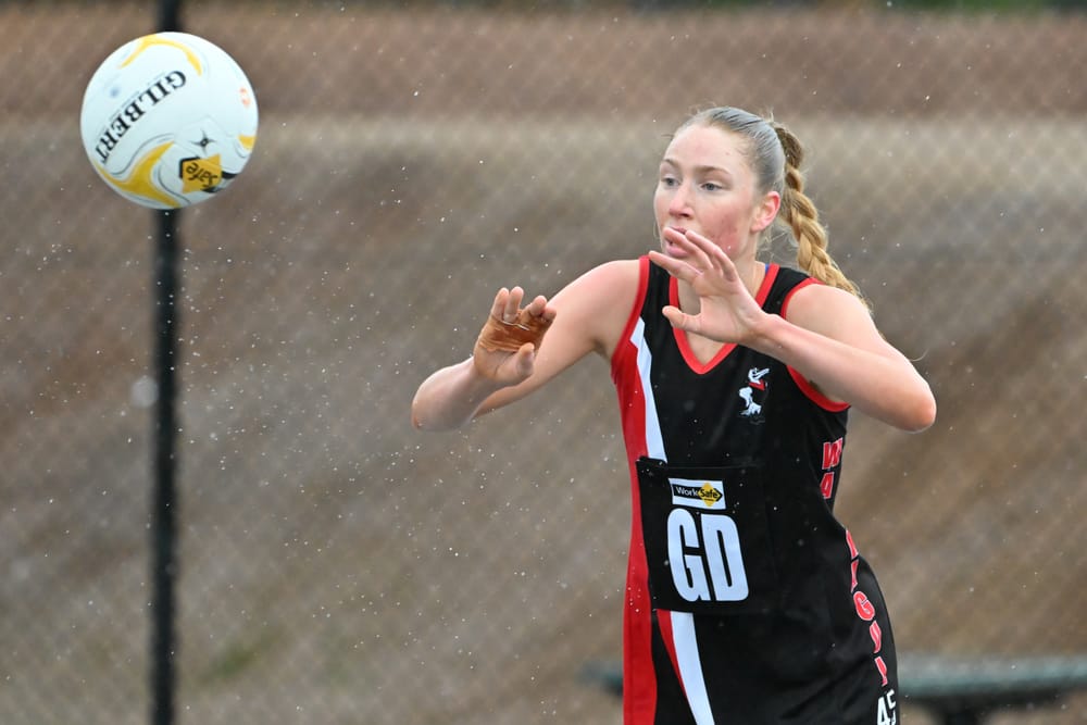 Gulls win into grand final post image