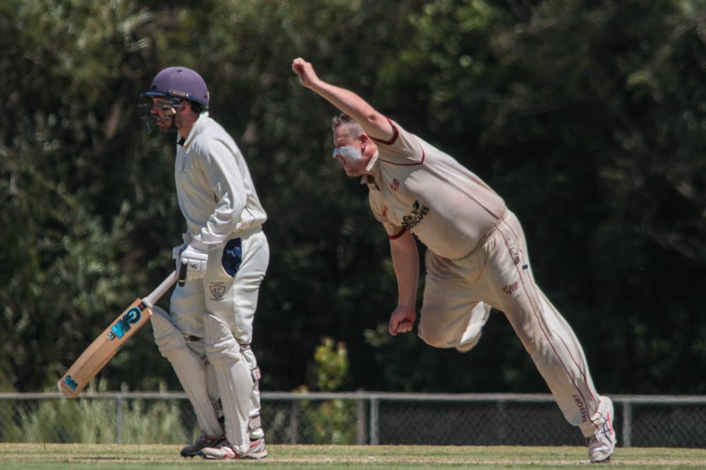 Cats keep alive post image