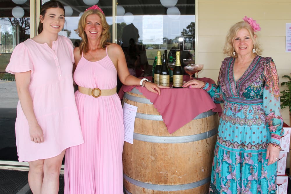 Hallora raises $9000 for pink stumps post image