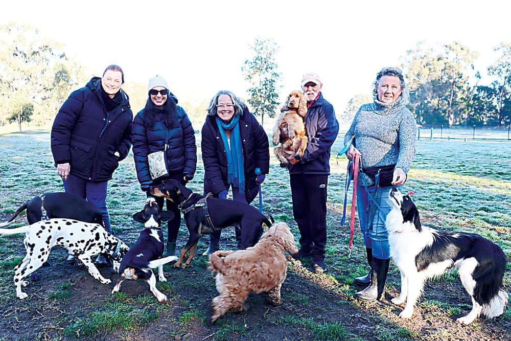 Dog park users advocate for lighting post image