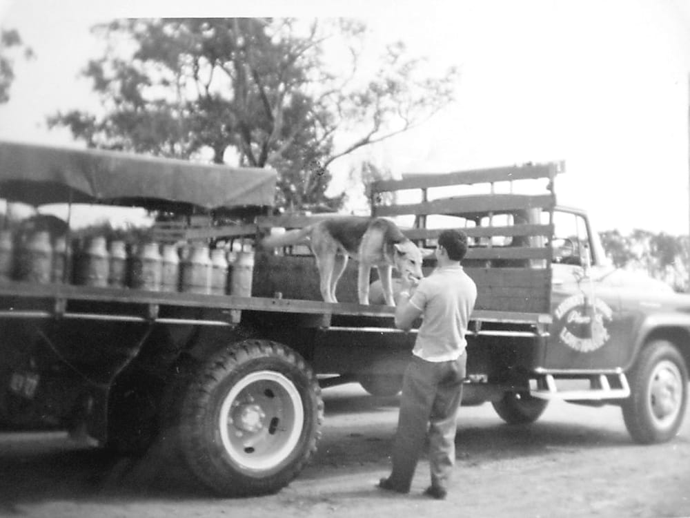 Snapshot of the past post image