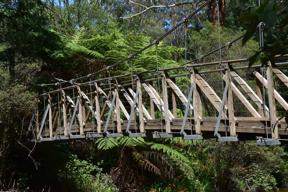 Tourism campaign launched post image