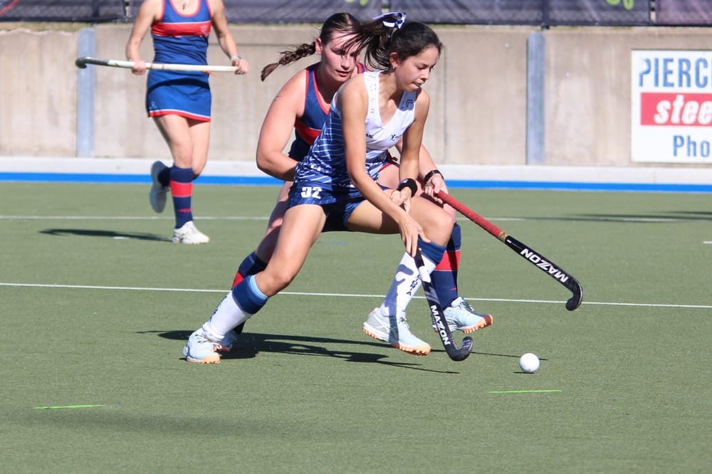 Big V for hockey stars post image