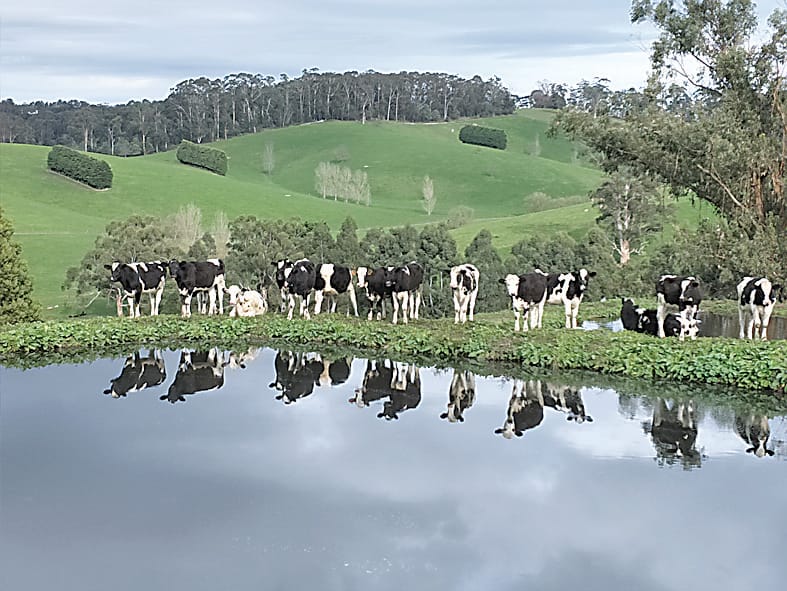 Competition captures essence of "Australian Life" post image