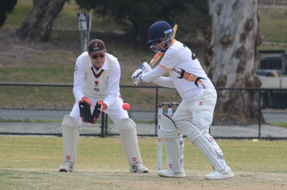 Goannas play out thrilling tie post image