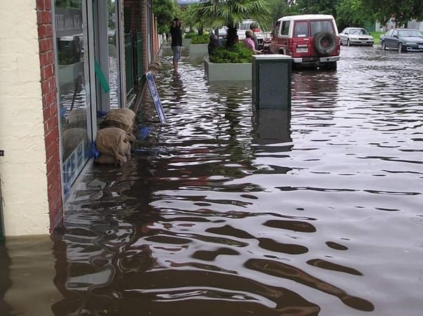 Longwarry flooding hurts export business post image