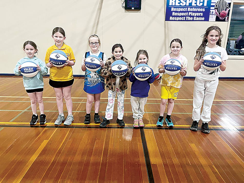 Pickleball on its Way to Trafalgar post image