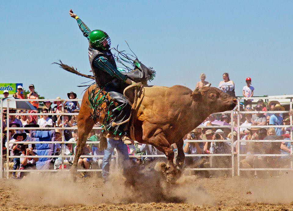 Bunyip Rodeo Returns post image