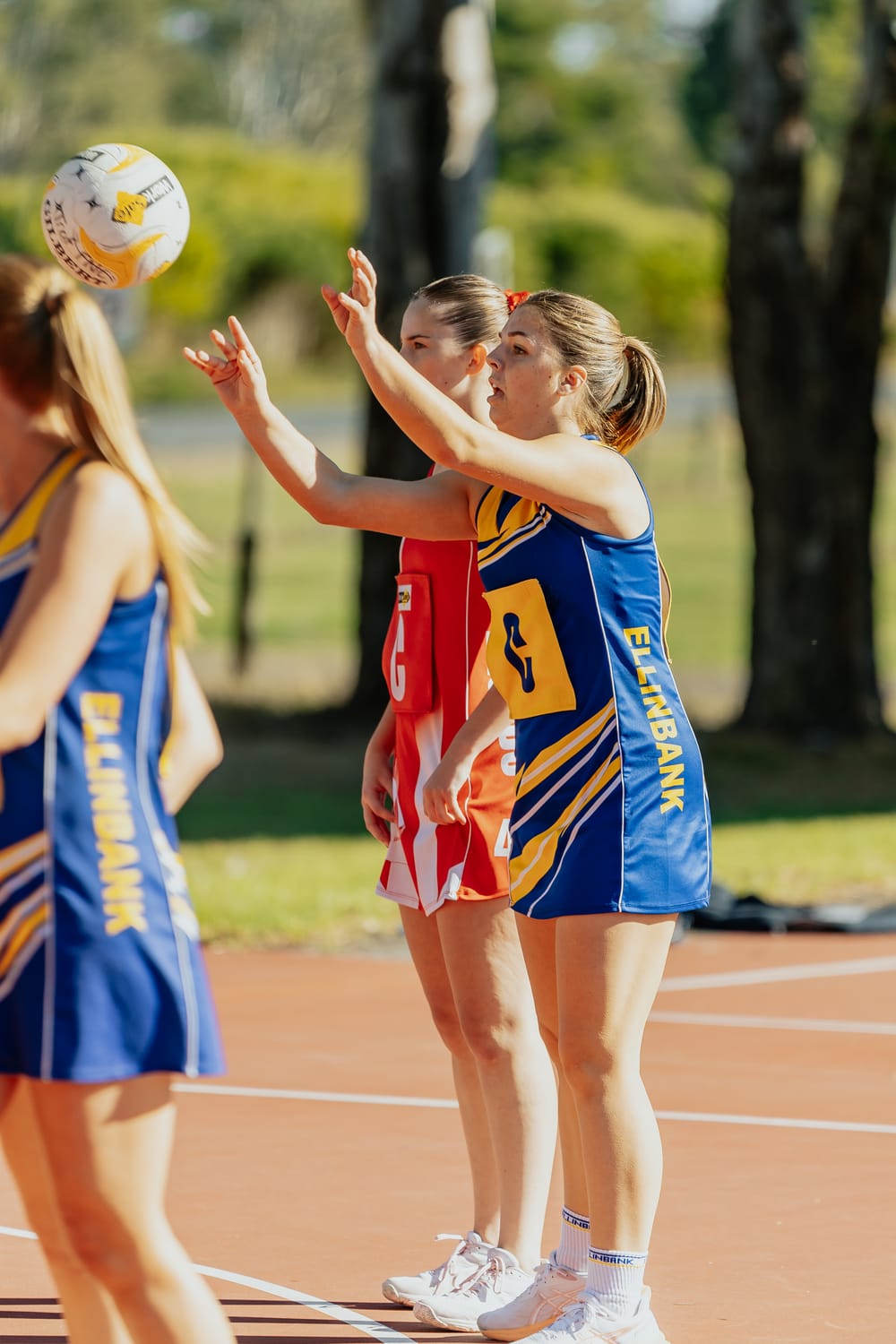 EDFNL B Grade Trafalgar v Ellinbank - May 10, 2025 post image