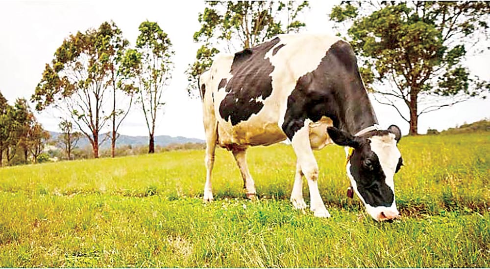 Understanding and managing facial eczema post image