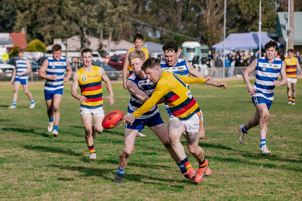 EDFNL Seniors football - Neerim vs Longwarry, August 30, 2025 post image
