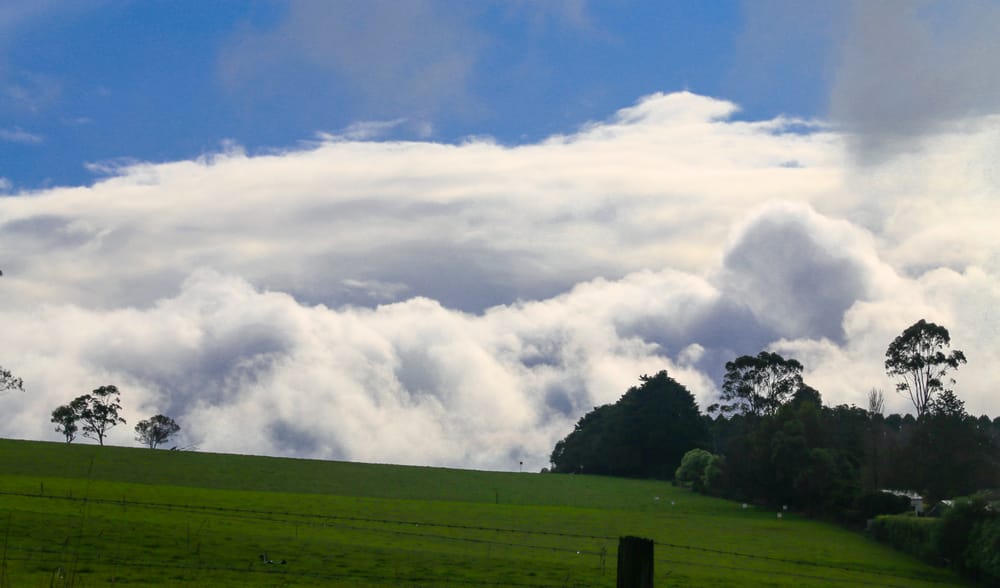 Maintain cover to protect soils post image