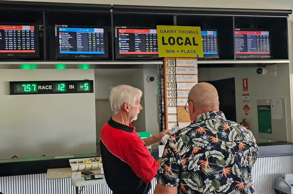 Warragul winner at trots post image