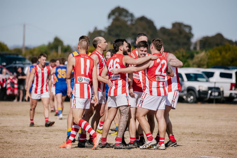 Bloods hold on in reserves post image