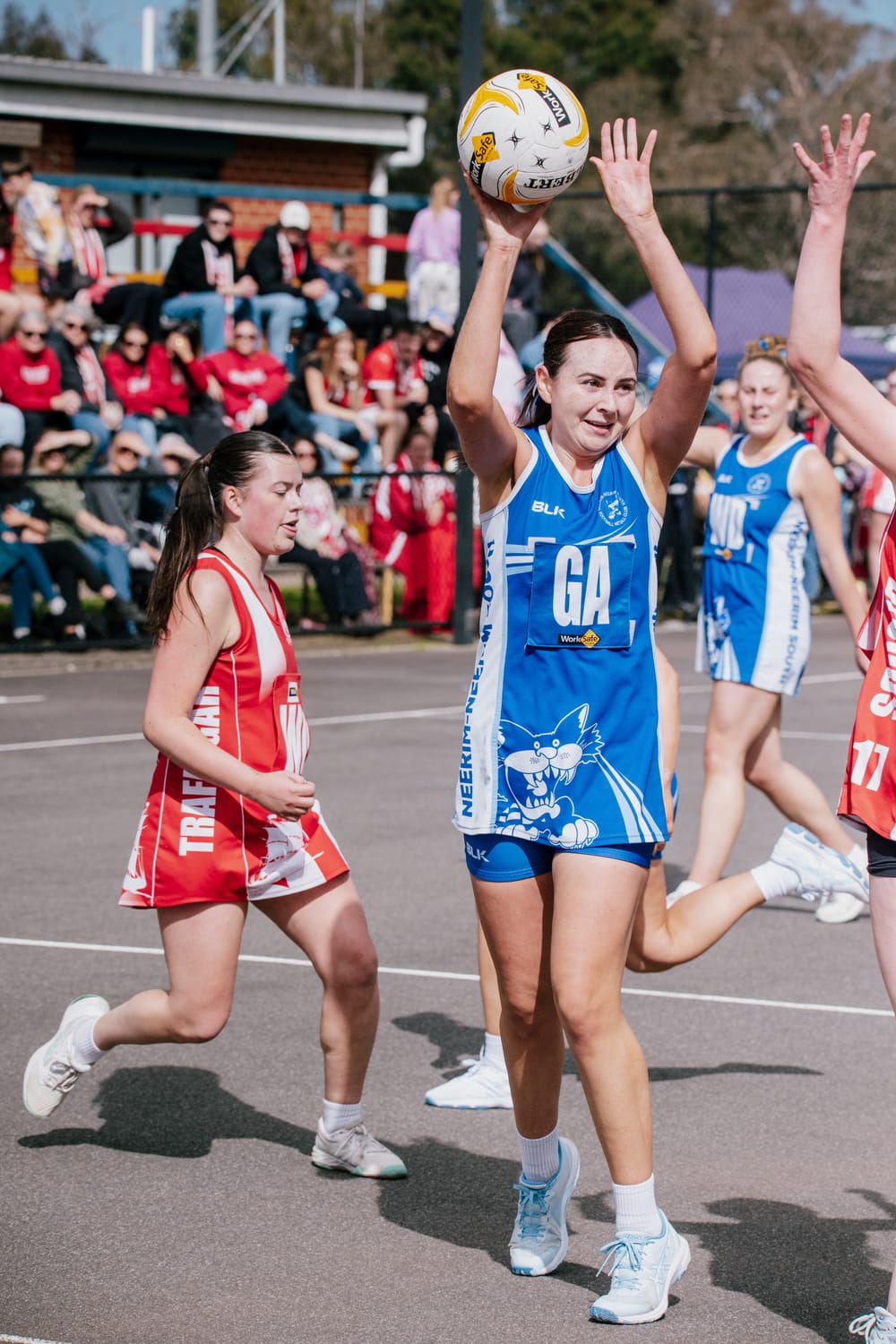 EDFNL Netball C Grade - Neerim South vs Trafalgar, 23 August, 2025 post image