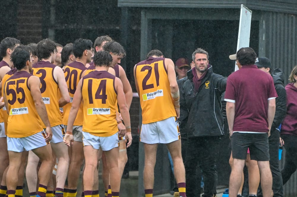 Hawks explore move post image