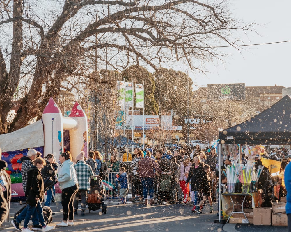 Snowfest planning underway for July post image