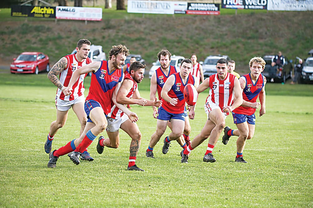 Ladder leading Lyrebirds battle third placed Bloods post image
