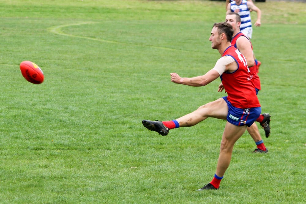 Lyrebirds head to Lang Lang post image