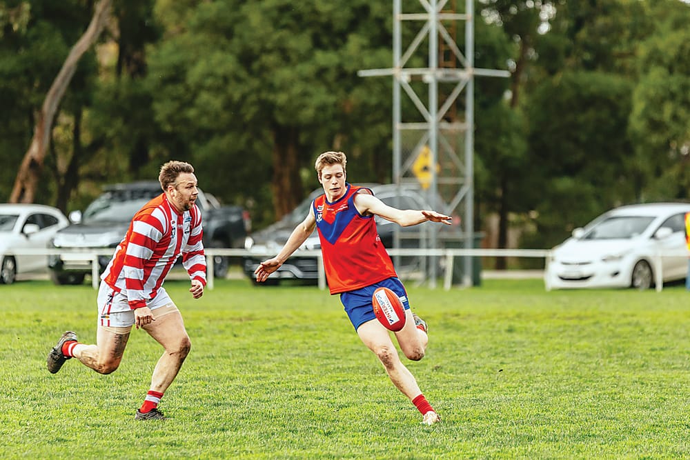 Lyrebirds hold off brave Bloods post image