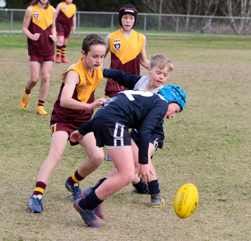 Football (U12's) Drouin Maroons Vs. Blues - 25.06.2022 post image
