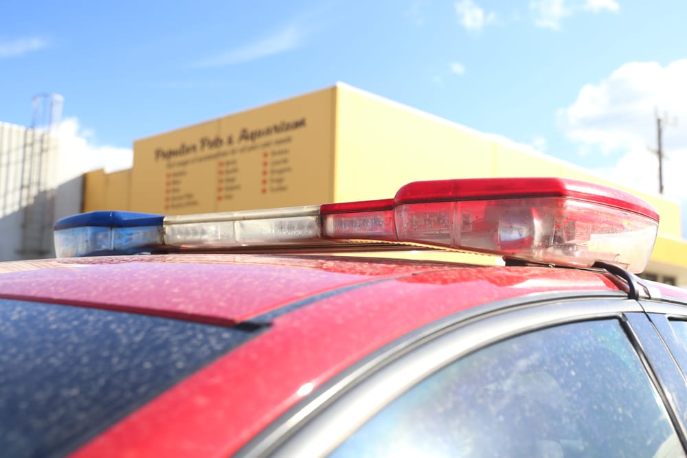 Fire in kitchen post image