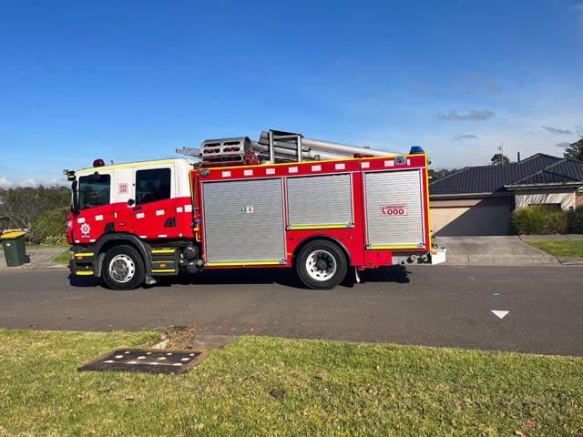 Gerald the Rescued Cat - 22.08.2023 post image