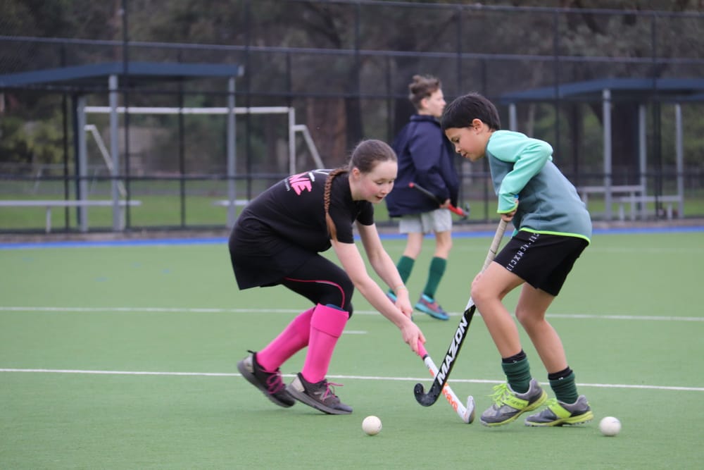 Hockey back on the pitch post image