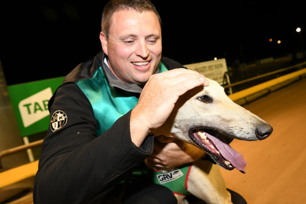 Quality prevails in Grand Cup Triumph post image