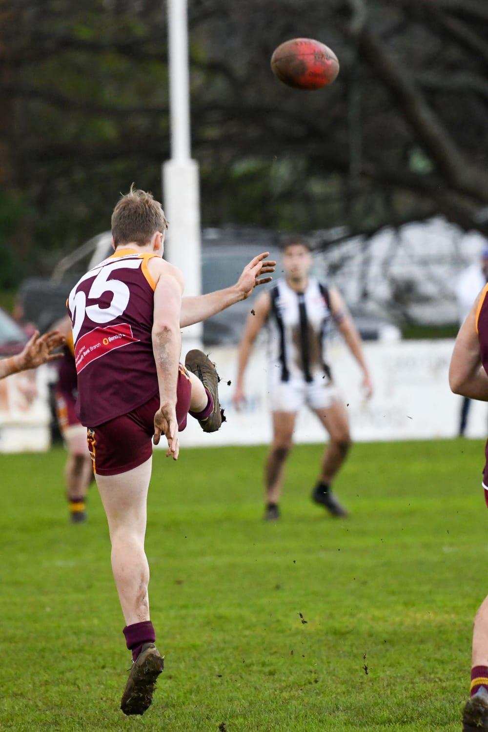 Football GFNL Reserves Drouin Vs. Sale - 16.07.2022 post image