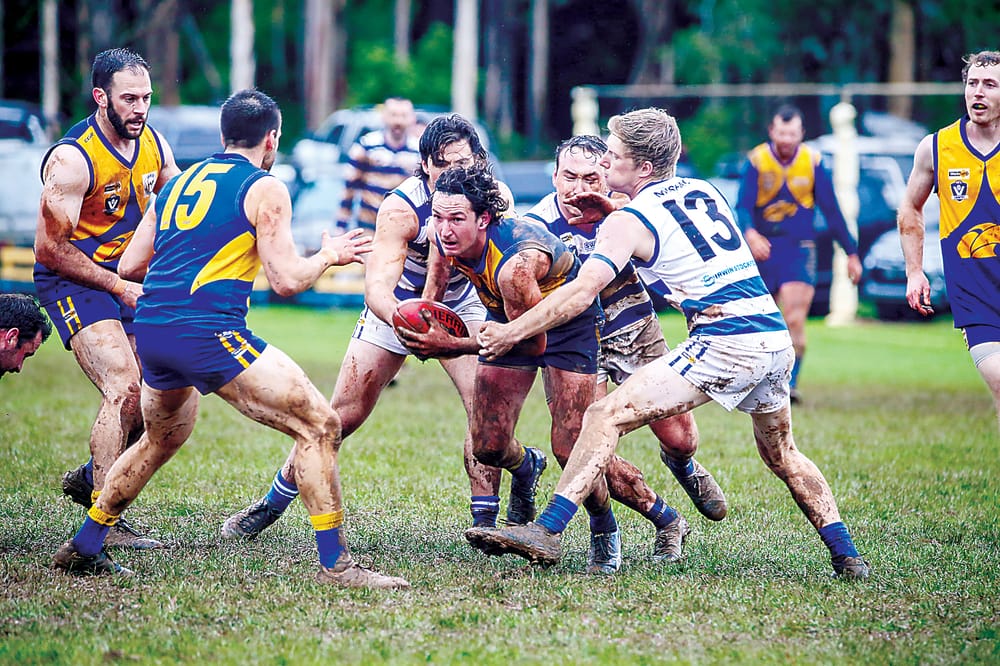 Eagles a team to beat post image