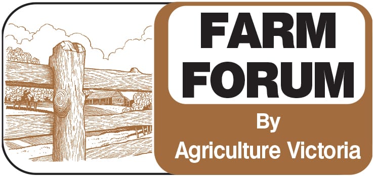 Hands on help for pig farmers post image