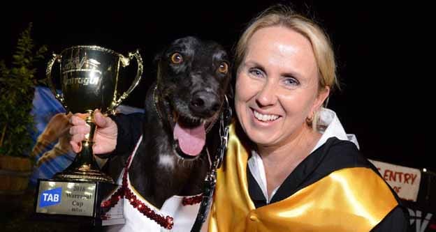 Aston Dee Bee wins Cup post image