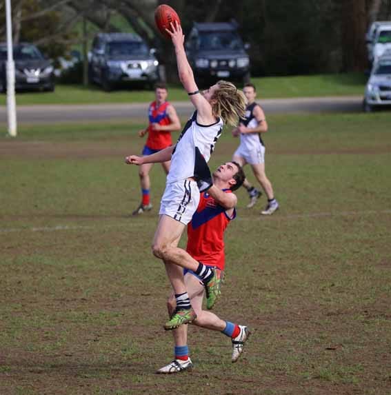 Catani plays hard for a draw post image