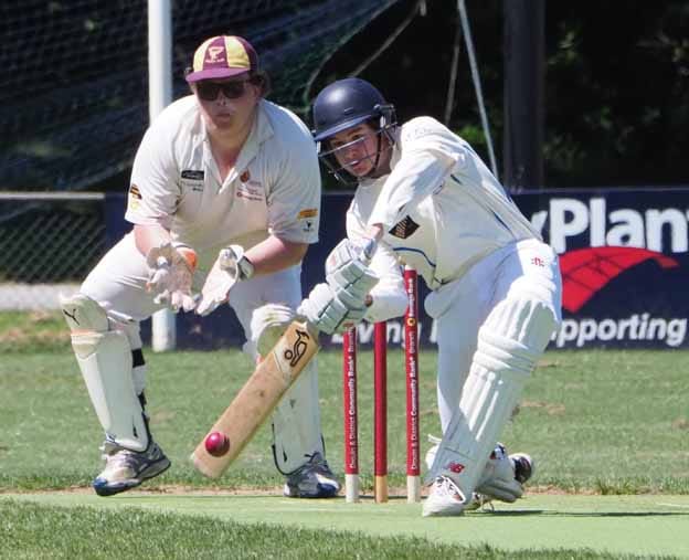 Twin centuries for Parkers post image