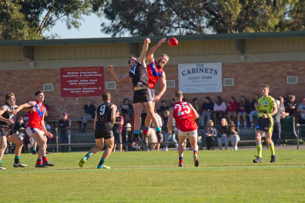 Football and netball merge to form new EDFNL post image
