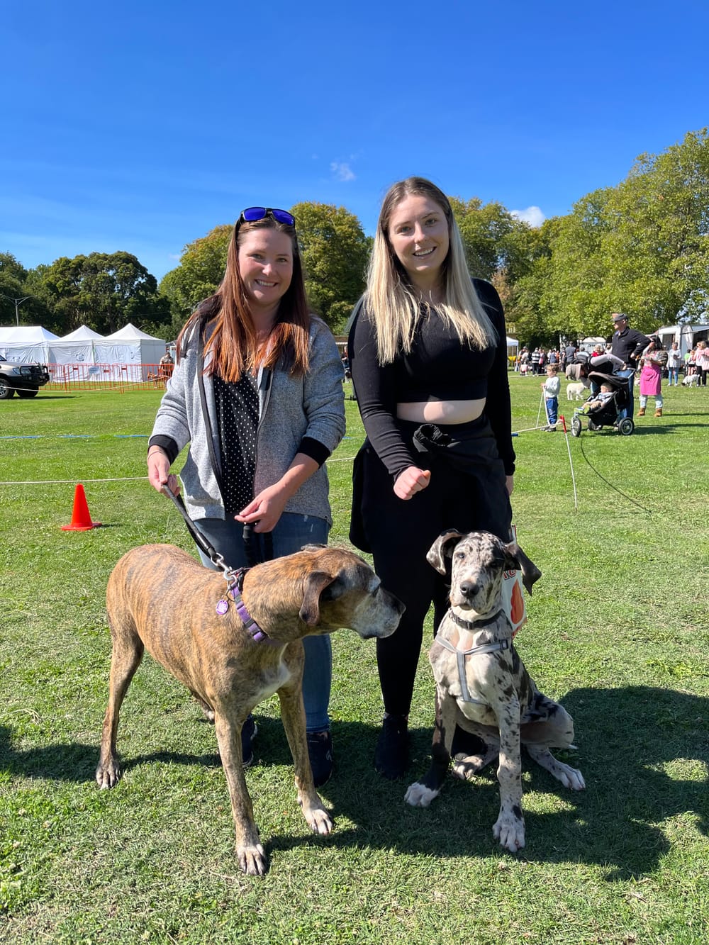 Pet expo a hit with locals post image