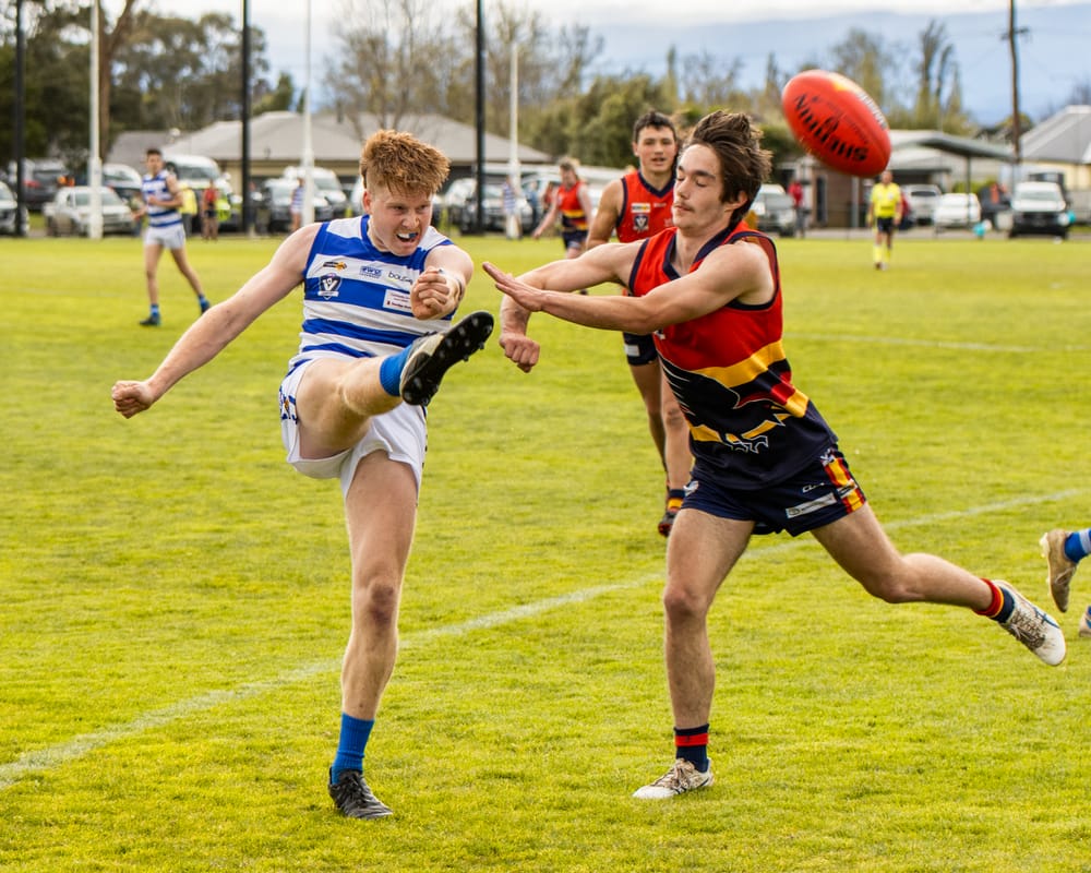 Cats claw Crows post image