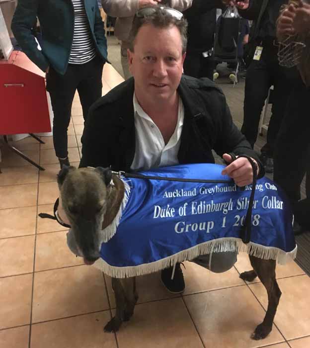 Greyhound wins in Auckland post image