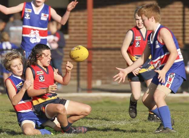 Determination in WDJFL post image