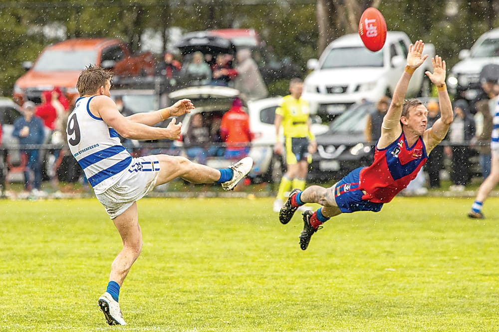 Cats claim classic grand final post image